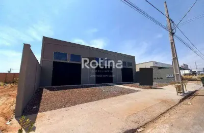 Galpão para alugar, residencial pequis - uberlândia/mg - rotina imobiliária