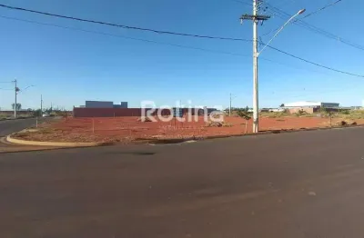 Área para alugar, novo mundo - uberlândia/mg - rotina imobiliária