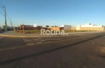 Área para alugar, minas gerais - uberlândia/mg - rotina imobiliária