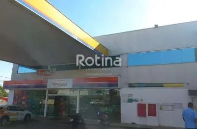 Loja para alugar, alto umuarama - uberlândia/mg - rotina imobiliária