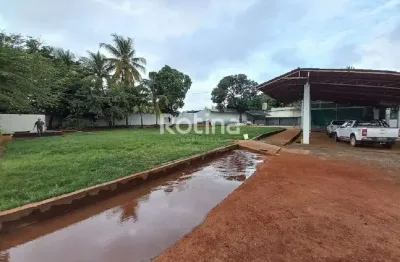 Galpão para alugar, osvaldo rezende - uberlândia/mg - rotina imobiliária