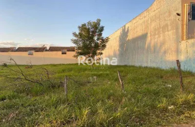 Terreno para alugar, alto umuarama - uberlândia/mg - rotina imobiliária