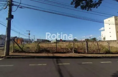 Área para alugar, custódio pereira - uberlândia/mg - rotina imobiliária