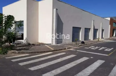 Loja para alugar, shopping park - uberlândia/mg - rotina imobiliária