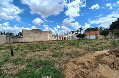 Terreno para alugar, vigilato pereira - uberlândia/mg - rotina imobiliária
