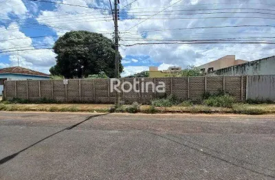 Terreno para alugar, brasil - uberlândia/mg - rotina imobiliária