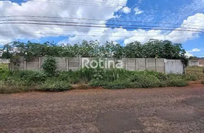 Terreno para alugar, cidade jardim - uberlândia/mg - rotina imobiliária