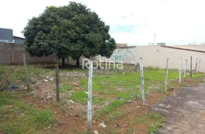 Terreno para alugar, pampulha - uberlândia/mg - rotina imobiliária