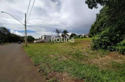 Área para alugar, daniel fonseca - uberlândia/mg - rotina imobiliária