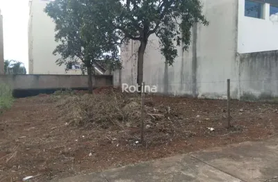 Terreno para alugar, jardim inconfidência - uberlândia/mg - rotina imobiliária