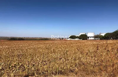 Área para alugar, morada nova - uberlândia/mg - rotina imobiliária