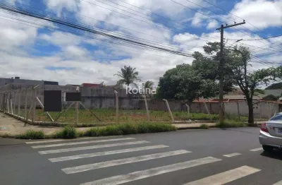 Área para alugar, umuarama - uberlândia/mg - rotina imobiliária