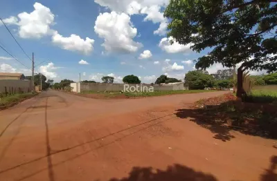 Área para alugar, morada dos pássaros - uberlândia/mg - rotina imobiliária