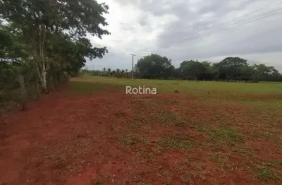 Área para alugar, zona rural - uberlândia/mg - rotina imobiliária