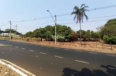 Terreno para alugar, jardim patrícia - uberlândia/mg - rotina imobiliária