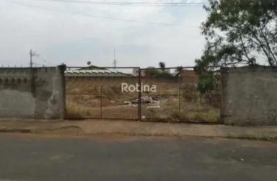 Terreno para alugar, laranjeiras - uberlândia/mg - rotina imobiliária