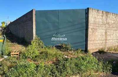 Terreno para alugar, tibery - uberlândia/mg - rotina imobiliária