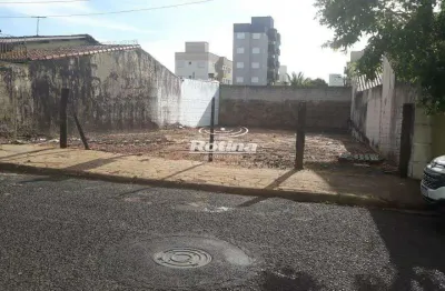 Terreno para alugar, santa mônica - uberlândia/mg - rotina imobiliária