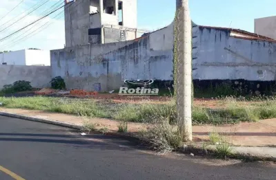 Terreno para alugar, luizote de freitas - uberlândia/mg - rotina imobiliária