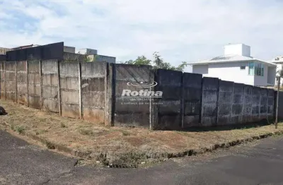 Terreno para alugar, vigilato pereira - uberlândia/mg - rotina imobiliária