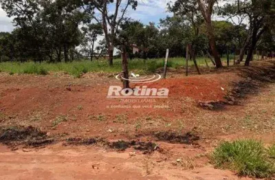 Terreno para alugar, distrito industrial - uberlândia/mg - rotina imobiliária