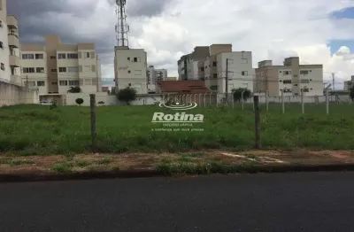 Terreno para alugar, santa mônica - uberlândia/mg - rotina imobiliária