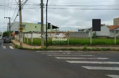 Área para alugar, vigilato pereira - uberlândia/mg - rotina imobiliária