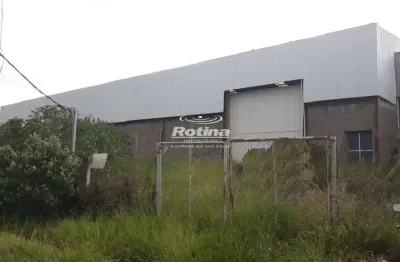 Galpão para alugar, distrito industrial - uberlândia/mg - rotina imobiliária