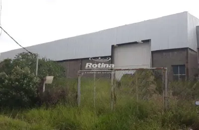 Galpão para alugar, distrito industrial - uberlândia/mg - rotina imobiliária