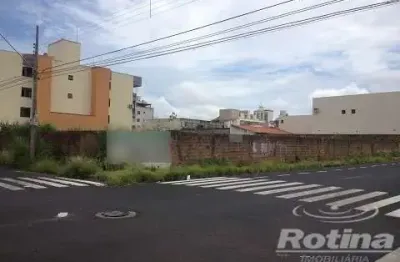 Terreno para alugar, brasil - uberlândia/mg - rotina imobiliária