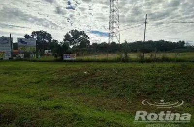 Área para alugar, zona rural - uberlândia/mg - rotina imobiliária