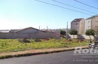 Área para alugar, jardim patrícia - uberlândia/mg - rotina imobiliária