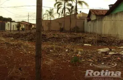 Área para alugar, santa mônica - uberlândia/mg - rotina imobiliária