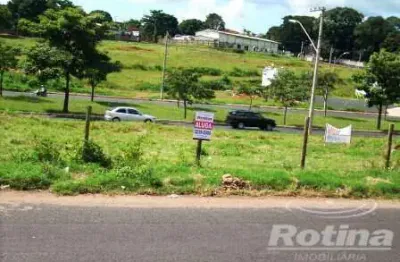Terreno para alugar, segismundo pereira - uberlândia/mg - rotina imobiliária