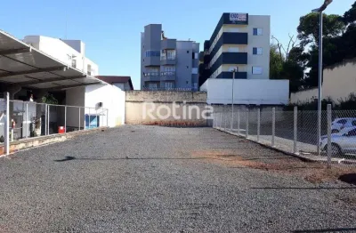 Terreno para alugar, martins - uberlândia/mg - rotina imobiliária