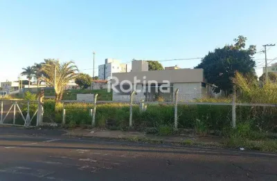 Galpão para alugar, presidente roosevelt - uberlândia/mg - rotina imobiliária
