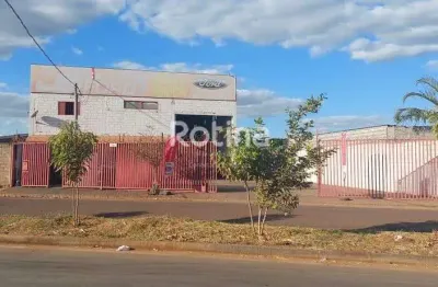 Galpão para alugar, segismundo pereira - uberlândia/mg - rotina imobiliária