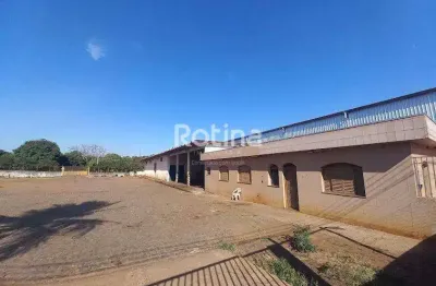 Galpão para alugar, daniel fonseca - uberlândia/mg - rotina imobiliária