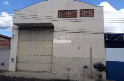 Galpão para alugar, custódio pereira - uberlândia/mg - rotina imobiliária