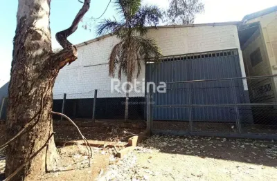 Galpão para alugar, distrito industrial - uberlândia/mg - rotina imobiliária