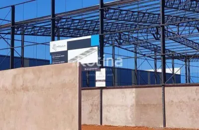 Galpão para alugar, loteamento centro empresarial leste iii - uberlândia/mg - rotina imobiliária