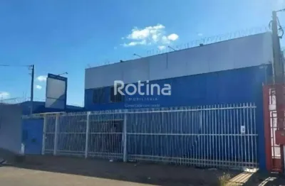 Galpão para alugar, novo mundo - uberlândia/mg - rotina imobiliária