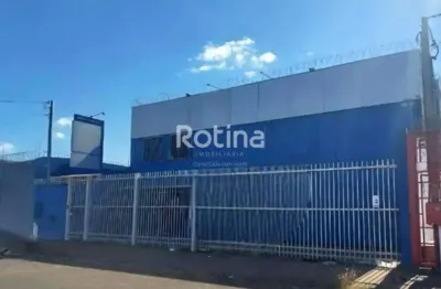 Galpão para alugar, novo mundo - uberlândia/mg - rotina imobiliária