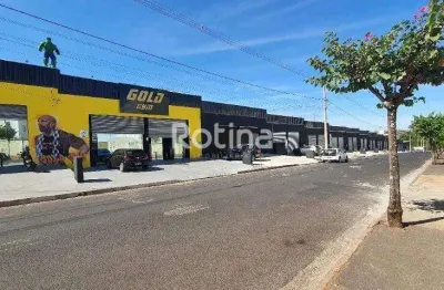 Galpão para alugar, shopping park - uberlândia/mg - rotina imobiliária
