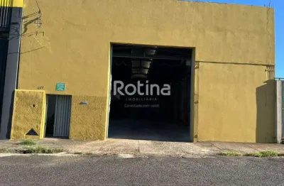 Galpão para alugar, tibery - uberlândia/mg - rotina imobiliária