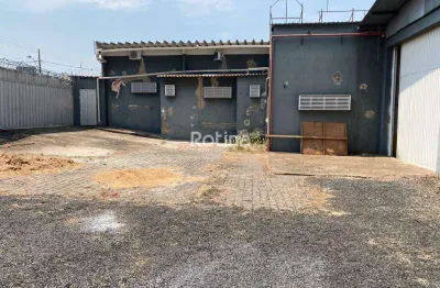 Galpão para alugar, brasil - uberlândia/mg - rotina imobiliária