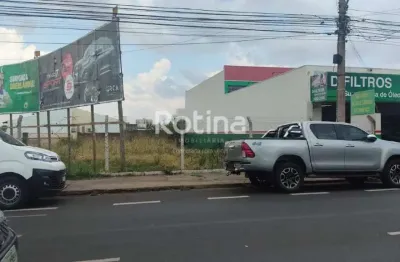 Terreno para alugar, brasil - uberlândia/mg - rotina imobiliária