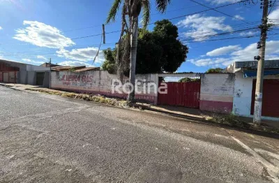 Loja para alugar, 5 quartos, custódio pereira - uberlândia/mg - rotina imobiliária