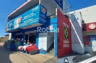 Loja para alugar, chacaras tubalina e quartel - uberlândia/mg - rotina imobiliária
