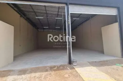 Galpão para alugar, shopping park - uberlândia/mg - rotina imobiliária